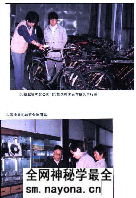 《湖北省商业简志(第四册)·五金商业志》.pdf电子版_湖北省志预览图3 《湖北省商业简志(第四册)·五金商业志》.pdf电子版_湖北省志预览图3