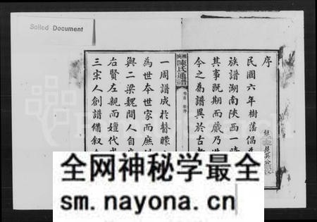 湖南陈氏族谱-陈氏通谱七修 [19卷,首末各1卷].pdf电子版预览图1