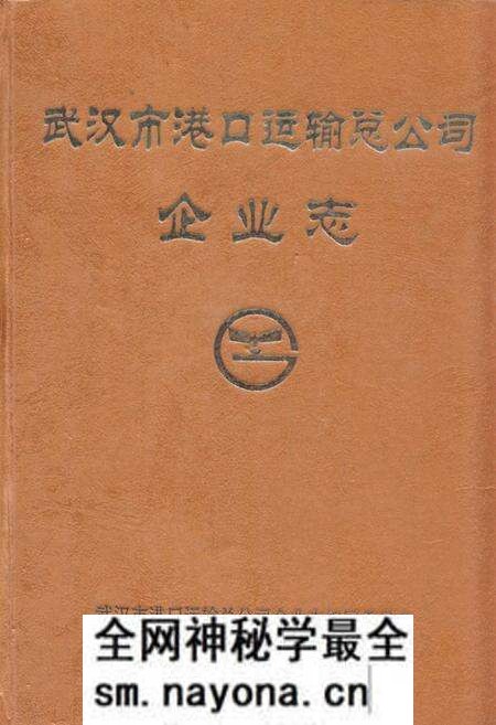 《武汉市港口运输总公司·企业志》.pdf电子版_湖北省志预览图
