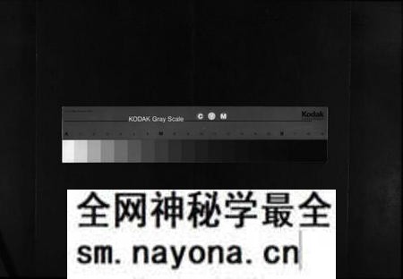 湖南向氏族谱-向氏族谱[总卷数不详].pdf电子版预览图