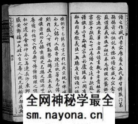 湖南皮氏族谱-善化皮氏世族谱 [16卷].pdf电子版预览图2