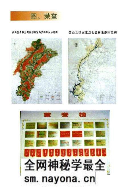 《英山县林业志(一九八六年-二零零七年)》.pdf电子版_湖北省志预览图5 《英山县林业志(一九八六年-二零零七年)》.pdf电子版_湖北省志预览图5