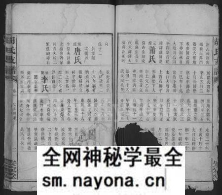 湖南胡氏族谱-胡氏支谱 [4卷,首末各1卷].pdf电子版预览图2