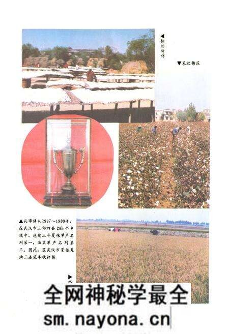 《新洲县孔埠镇志》.pdf电子版_湖北省志预览图3 《新洲县孔埠镇志》.pdf电子版_湖北省志预览图3