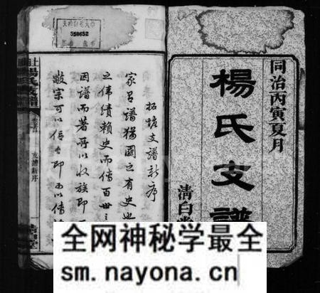 湖南杨氏族谱-杨氏支谱[5卷首1卷].pdf电子版预览图3