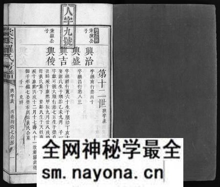 江西罗氏族谱-棠阴罗氏房谱[残4卷].pdf电子版预览图2