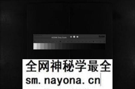 湖南李氏族谱-邵陵龙山李氏族谱 [5卷,首1卷].pdf电子版预览图