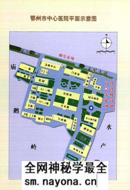 《鄂州市中心医院志(1946-2006)》.pdf电子版_湖北省志预览图5