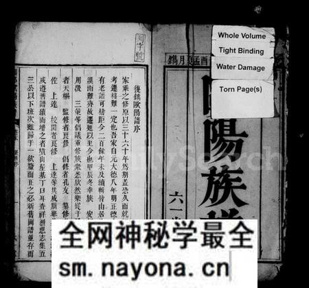湖南欧阳氏族谱-欧阳族谱 [4卷,首末各1卷].pdf电子版预览图5