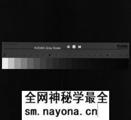 湖南贺氏族谱-涟湘贺氏族谱[9卷].pdf电子版预览图