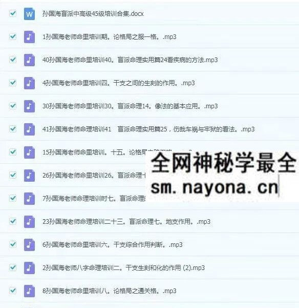 孙国海《盲派命理培训班》中高级45节 音频+课件