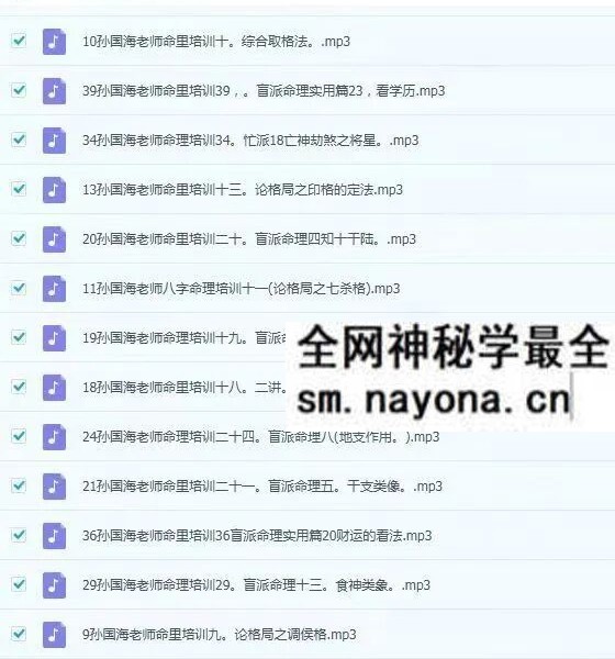 孙国海《盲派命理培训班》中高级45节 音频+课件