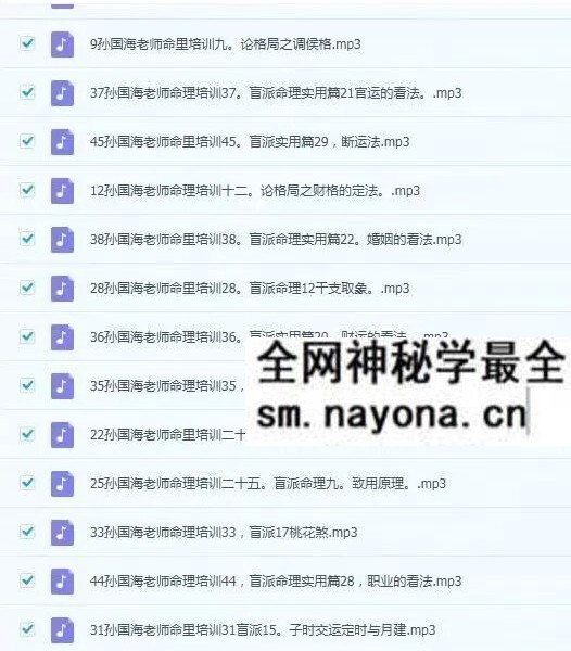 孙国海《盲派命理培训班》中高级45节 音频+课件