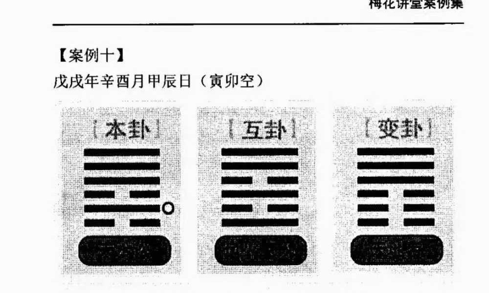 黄石易《梅花寻真精解100例》梅花精解100例181页