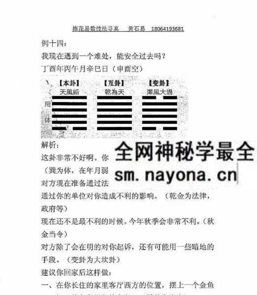 黄石易《梅花寻真精解100例》梅花精解100例181页
