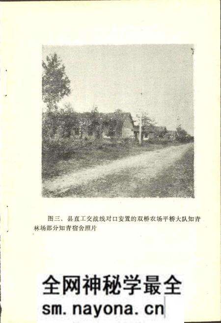 《钟祥县知青工作简史》.pdf电子版_湖北省志预览图4