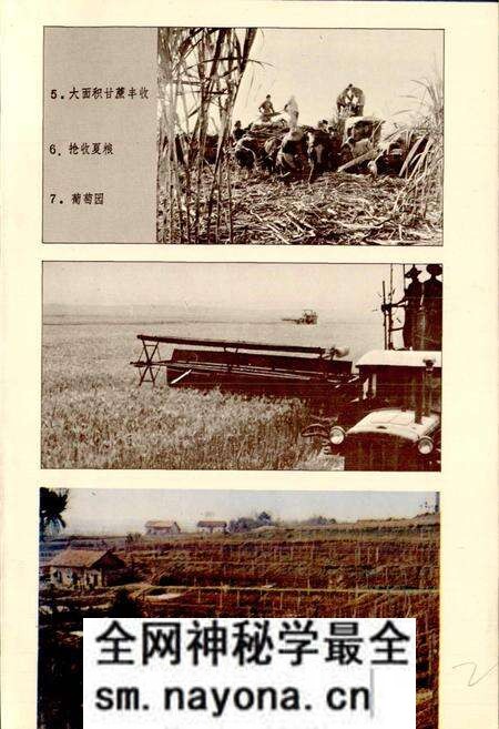 《草埠湖农场志》.pdf电子版_湖北省志预览图5