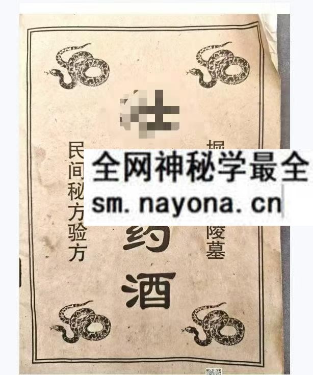 清宫民间验方zhuang阳药酒pdf