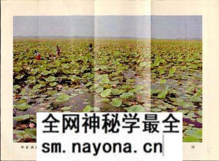 《洪湖县水产志》.pdf电子版_湖北省志预览图5 《洪湖县水产志》.pdf电子版_湖北省志预览图5