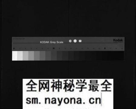 湖南廖氏族谱-廖氏族谱[37卷].pdf电子版预览图