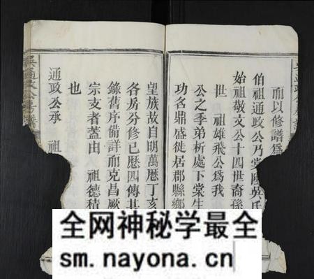 江西吴氏族谱-吴通政公房谱 [不分卷].pdf电子版预览图5