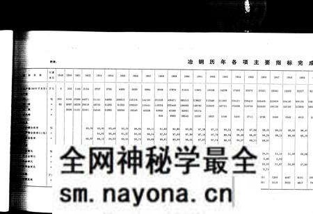 《大冶钢厂志 第二卷》.pdf电子版_湖北省志预览图2 《大冶钢厂志 第二卷》.pdf电子版_湖北省志预览图2