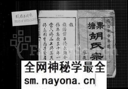 湖南胡氏族谱-栗塘胡氏宗谱 [9卷, 末1卷].pdf电子版预览图4