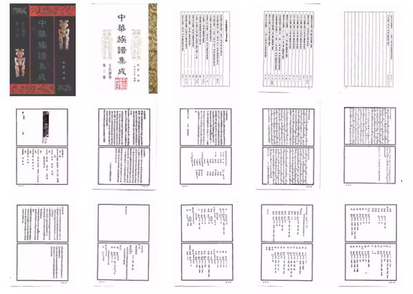 C0089_中华族谱集成_王氏谱卷_第三册.pdf[地方藏谱] - A更新