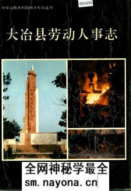 《大冶县劳动人事志》.pdf电子版_湖北省志预览图 《大冶县劳动人事志》.pdf电子版_湖北省志预览图
