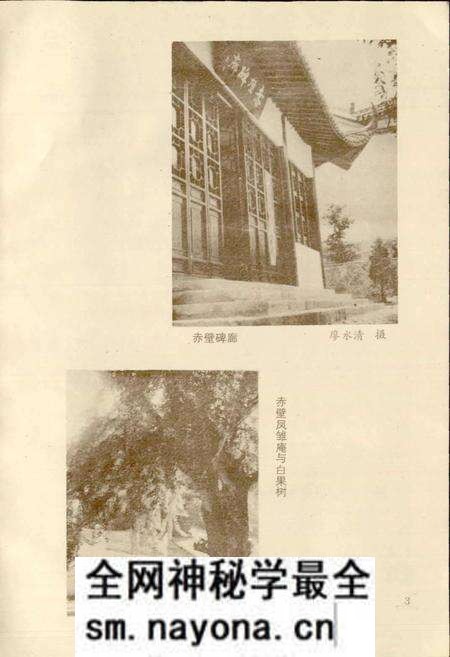 《蒲圻县文艺志》.pdf电子版_湖北省志预览图5