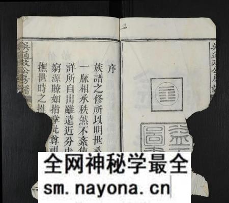 江西吴氏族谱-吴通政公房谱 [不分卷].pdf电子版预览图4