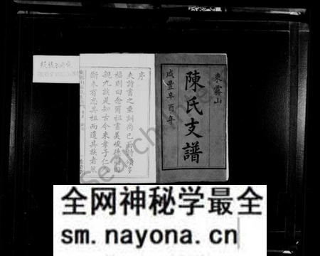 湖南陈氏族谱-东雾山陈氏支谱 [14卷,首1卷].pdf电子版预览图2