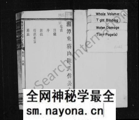 湖南陈氏族谱-东雾山陈氏仿公支谱 [8卷,首1卷].pdf电子版预览图1