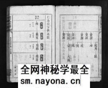 湖南贺氏族谱-贺氏族谱 [不分卷].pdf电子版预览图3