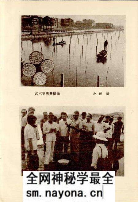 《黄冈地区水产志》.pdf电子版_湖北省志预览图4