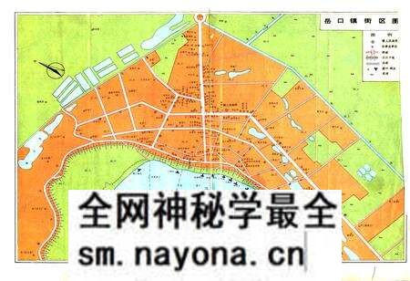 《岳口镇志》.pdf电子版_湖北省志预览图2 《岳口镇志》.pdf电子版_湖北省志预览图2