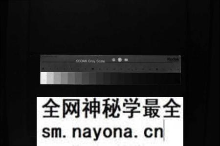 江西戴氏族谱-谯国戴氏宗谱 [3卷].pdf电子版预览图