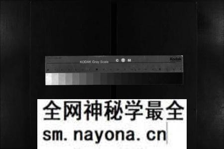 湖南刘氏族谱-上湘龙塘王氏续修族谱 [10卷].pdf电子版预览图