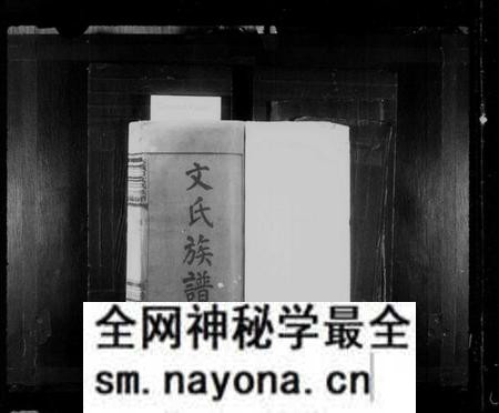 江西文氏族谱-大义口文氏族谱 [14卷].pdf电子版预览图2