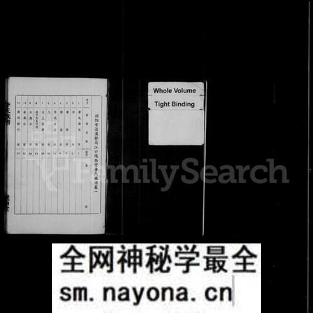 湖南李氏族谱-浏阳市沿溪桥马江口陇西堂李氏族谱 [4卷].pdf电子版预览图3