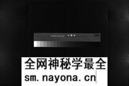 湖南李氏族谱-李氏宗谱 [残卷].pdf电子版预览图