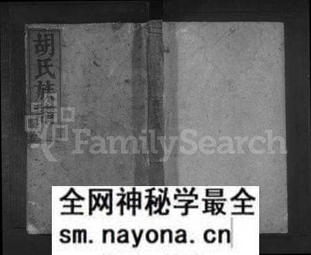 湖南胡氏族谱-桂阳县胡氏族谱 [不分卷].pdf电子版预览图