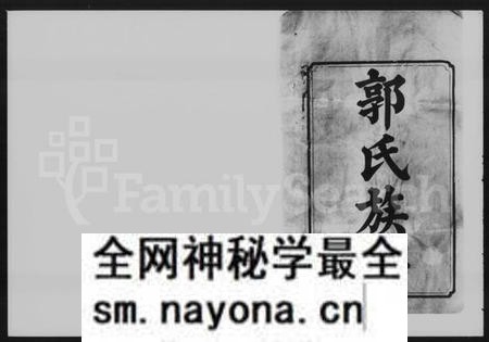 湖南郭氏族谱-中湘金霞山沙头郭氏八修族谱.pdf电子版预览图2