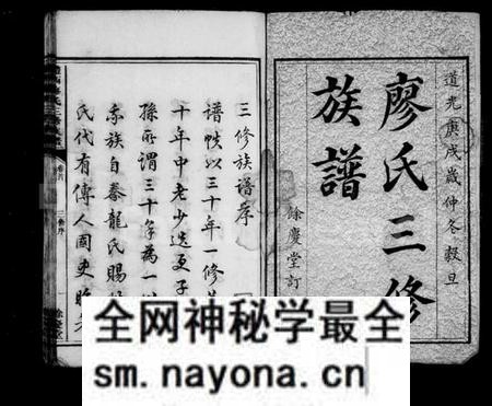 湖南廖氏族谱-醴西廖氏三修族谱 [9卷,首1卷].pdf电子版预览图2