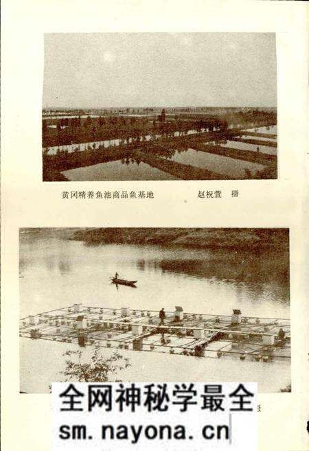 《黄冈地区水产志》.pdf电子版_湖北省志预览图3