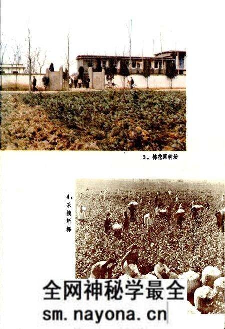 《草埠湖农场志》.pdf电子版_湖北省志预览图4