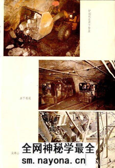 《大冶铁矿志 第一卷 下册》.pdf电子版_湖北省志预览图4 《大冶铁矿志 第一卷 下册》.pdf电子版_湖北省志预览图4