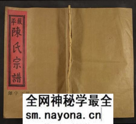 江西陈氏族谱-严平陈氏宗谱[不分卷].pdf电子版预览图