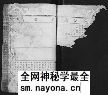 江西夏氏族谱-夏氏宗谱[总卷数不详].pdf电子版预览图2