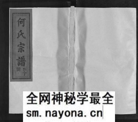 江西何氏族谱-卢江何氏宗谱[3卷,首1卷].pdf电子版预览图